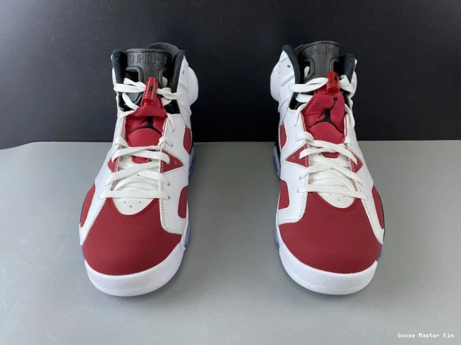 6 'CARMINE' 2014 384664-160 JORDAN RETRO AIR 0628